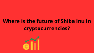 Read more about the article Where is the future of Shiba Inu in cryptocurrencies