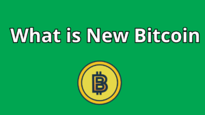 Read more about the article What is New Bitcoin