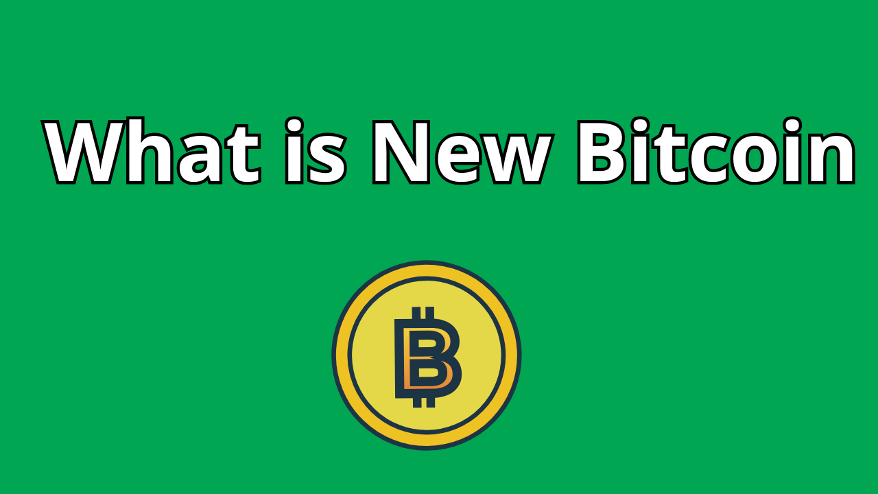 Read more about the article What is New Bitcoin
